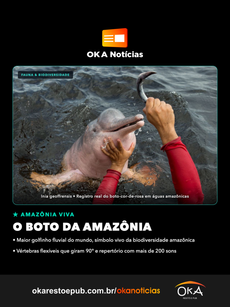 O Boto da Amazônia: O Lendário Guardião das Nossas Águas e Seus Segredos Científicos